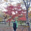 초안산길 이미지