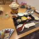 여행 2박3일, 3일차 - 센쿄로 산책, 하코네유모토 에끼벤, 오차노미즈 악기구매, 나리타공항 기타 래핑비