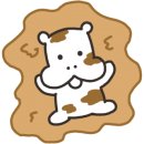 히포디테일링 이미지
