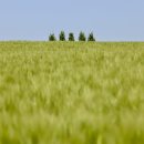 관식농장 이미지