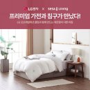 비스타리빙