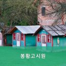 봉황고시원