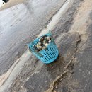 오이도어촌체험휴양마을 | 오이도 어촌휴양마을 조개캐기 체험