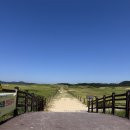 태안풀빌라반디(bandi) | 신두리 해수욕장 + 태안 여행