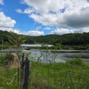 참좋은 한우 농장 | 군위 한우맛집 참좋은한우직판장 상등심 갈비살 후기