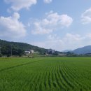 씨엘블루(Ciel Bleu)