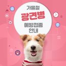 뉴광명동물메디컬센터 | 반려동물 광견병 예방접종하세요