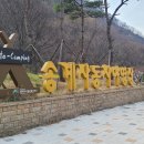 씨유중랑송계공원점 | 월악산 송계 야영장 - 오토캠핑을 위한, 오토캠핑에 맞춘 캠핑장