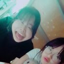 예진D&P