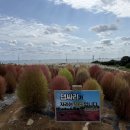 슬도주차장화장실 | 댑싸리 구경하고 슬도 산책까지｜울산 가을 나들이 코스 후기