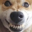 대야이 1수변공원 화장실 | 260301 MyGO ×Ave Mujica ツーマンライブ「“moment / memory”」 후기