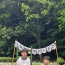 서귀포종합관광안내소 | 제주 천지연폭포 부모님 아이와 방문 후기 다자녀카드 무료입장