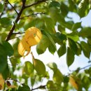 미사숲공원 이미지