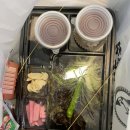 우장산역점어시장&포장