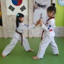 용인대능동태권도 이미지