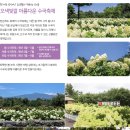 휴애리 티스토리
