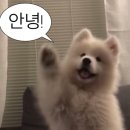 고기마을정육 이미지