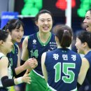 현대인삼 이미지