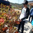 정다운마을 이미지