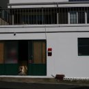 가비샵 네이버블로그