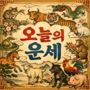 해인상사 | [미리보는 내일의운세] 2026년 2월 12일 목요일 12띠별 운세 | 오늘의 운세 완벽 정리