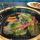 한국뷔페 이미지