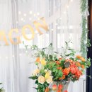 보나카바 이미지