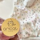 송송그루밍 이미지