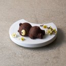 솔리,자운 이미지