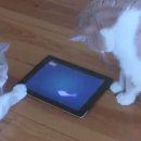 개편한 세상 이미지