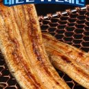 청농로 | "지평선 끝까지 펼쳐진 보랏빛 향연" 5월 고창 청농원 라벤더 축제 완벽 가이드 💜🌾