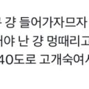 넥스트쿤 이미지