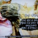 오첩반상 이미지