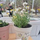 협동조합 피움 이미지