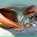 고려카서비스 이미지