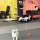 조조메디 이미지