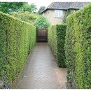 화이팅한의원 이미지