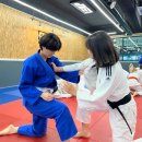 용인대 구성 유도 체육관 이미지