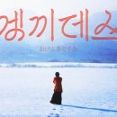 카페열흘