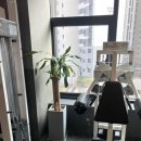 모조 피트니스 이미지