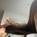 조군헤어 | 극손상모 살리는 노워시단백질트리트먼트 조군뷰티쉴드 🧴