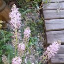 백현로150번길 이미지