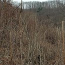 무진장농원 이미지