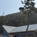 담양 리사 숲속마을 | 담양 여행 | 담양 리사숲속마을 우주마을 커플전용 솔직후기