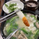 부산본가돼지국밥 티스토리
