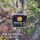 두루누비 해파랑길 35코스 후기 강릉 러닝 코스 추천 가을 달리기하기 좋은 곳