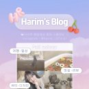닥터랩스 | 가성비좋은 닥터랩스 착한효소 내돈내산 후기