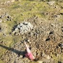 사하구 캐릭터 상징 이미지