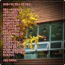 길 모퉁이 이미지
