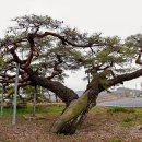 방축농장 이미지